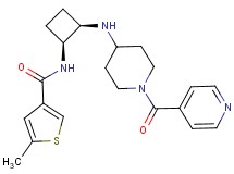 N-{(1S*,2R*)-2-[(1-isonicotinoyl-4-piperidinyl)amino]cyclobutyl}-5-methyl-3-thiophenecarboxamide
