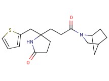 5-[3-(2-azabicyclo[2.2.1]hept-2-yl)-3-oxopropyl]-5-(2-thienylmethyl)-2-pyrrolidinone