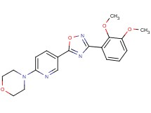 4-{5-[3-(2,3-dimethoxyphenyl)-1,2,4-oxadiazol-5-yl]-2-pyridinyl}morpholine