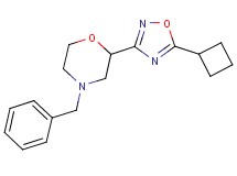 4-benzyl-2-(5-cyclobutyl-1,2,4-oxadiazol-3-yl)morpholine trifluoroacetate