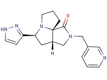 (3aS*,5S*,9aS*)-5-(1H-pyrazol-3-yl)-2-(3-pyridinylmethyl)hexahydro-7H-pyrrolo[3,4-g]pyrrolizin-1(2H)-one