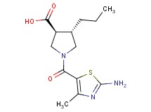 (3S*,4S*)-1-[(2-amino-4-methyl-1,3-thiazol-5-yl)carbonyl]-4-propyl-3-pyrrolidinecarboxylic acid