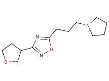5-(3-pyrrolidin-1-ylpropyl)-3-(tetrahydrofuran-3-yl)-1,2,4-oxadiazole