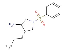 (3R*,4S*)-1-(phenylsulfonyl)-4-propylpyrrolidin-3-amine