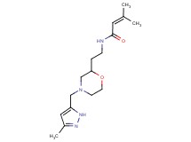 3-methyl-N-(2-{4-[(3-methyl-1H-pyrazol-5-yl)methyl]morpholin-2-yl}ethyl)but-2-enamide