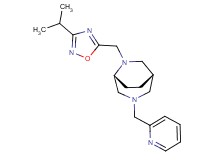 (1S*,5R*)-6-[(3-isopropyl-1,2,4-oxadiazol-5-yl)methyl]-3-(pyridin-2-ylmethyl)-3,6-diazabicyclo[3.2.2]nonane