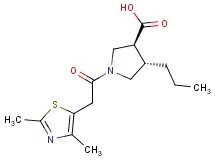 (3S*,4S*)-1-[(2,4-dimethyl-1,3-thiazol-5-yl)acetyl]-4-propylpyrrolidine-3-carboxylic acid