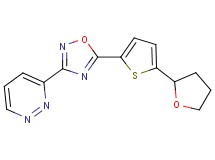 3-{5-[5-(tetrahydro-2-furanyl)-2-thienyl]-1,2,4-oxadiazol-3-yl}pyridazine