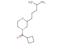 4-(cyclobutylcarbonyl)-2-(4-methylpentyl)morpholine