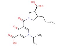 5-{[(3S*,4S*)-3-carboxy-4-propylpyrrolidin-1-yl]carbonyl}-1-isopropyl-4-oxo-1,4-dihydropyridine-3-carboxylic acid