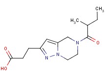 3-[5-(2-methylbutanoyl)-4,5,6,7-tetrahydropyrazolo[1,5-a]pyrazin-2-yl]propanoic acid