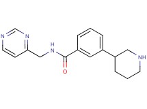 3-piperidin-3-yl-N-(pyrimidin-4-ylmethyl)benzamide