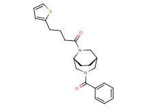 (1S*,5R*)-3-benzoyl-6-[4-(2-thienyl)butanoyl]-3,6-diazabicyclo[3.2.2]nonane