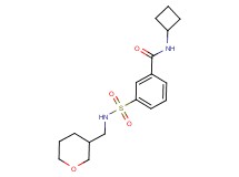 N-cyclobutyl-3-{[(tetrahydro-2H-pyran-3-ylmethyl)amino]sulfonyl}benzamide