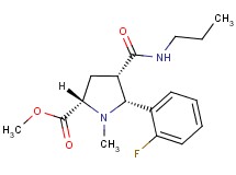 methyl (2S*,4S*,5R*)-5-(2-fluorophenyl)-1-methyl-4-[(propylamino)carbonyl]-2-pyrrolidinecarboxylate
