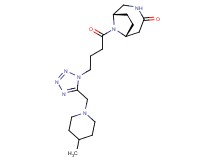 (1S*,6R*)-9-(4-{5-[(4-methylpiperidin-1-yl)methyl]-1H-tetrazol-1-yl}butanoyl)-3,9-diazabicyclo[4.2.1]nonan-4-one