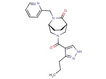 (1S*,5R*)-3-[(3-propyl-1H-pyrazol-4-yl)carbonyl]-6-(2-pyridinylmethyl)-3,6-diazabicyclo[3.2.2]nonan-7-one
