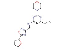6-ethyl-2-morpholin-4-yl-N-{[5-(tetrahydrofuran-2-yl)-1,2,4-oxadiazol-3-yl]methyl}pyrimidin-4-amine
