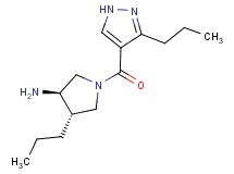 (3R*,4S*)-4-propyl-1-[(3-propyl-1H-pyrazol-4-yl)carbonyl]pyrrolidin-3-amine