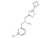 1-(5-cyclobutyl-1,2,4-oxadiazol-3-yl)-N-methyl-N-[(6-methylpyridin-2-yl)methyl]methanamine