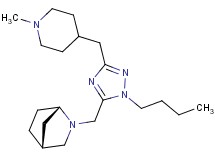 (1S*,4R*)-2-({1-butyl-3-[(1-methylpiperidin-4-yl)methyl]-1H-1,2,4-triazol-5-yl}methyl)-2-azabicyclo[2.2.1]heptane