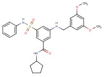 3-(anilinosulfonyl)-N-cyclopentyl-5-[(3,5-dimethoxybenzyl)amino]benzamide
