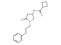 N-[5-oxo-1-(3-phenylpropyl)-3-pyrrolidinyl]cyclobutanecarboxamide