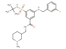 3-[(tert-butylamino)sulfonyl]-5-[(3-fluorobenzyl)amino]-N-[(1-methyl-3-piperidinyl)methyl]benzamide