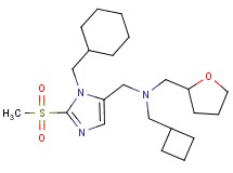 (cyclobutylmethyl){[1-(cyclohexylmethyl)-2-(methylsulfonyl)-1H-imidazol-5-yl]methyl}(tetrahydro-2-furanylmethyl)amine