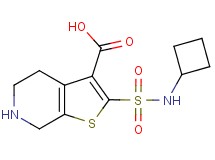 2-[(cyclobutylamino)sulfonyl]-4,5,6,7-tetrahydrothieno[2,3-c]pyridine-3-carboxylic acid