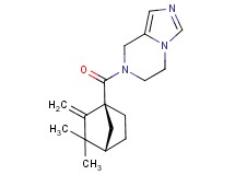 7-{[(1S*,4S*)-3,3-dimethyl-2-methylenebicyclo[2.2.1]hept-1-yl]carbonyl}-5,6,7,8-tetrahydroimidazo[1,5-a]pyrazine