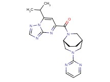 7-isopropyl-5-{[(1S*,5R*)-3-pyrimidin-2-yl-3,6-diazabicyclo[3.2.2]non-6-yl]carbonyl}[1,2,4]triazolo[1,5-a]pyrimidine