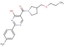2-(4-methylphenyl)-5-{[3-(propoxymethyl)pyrrolidin-1-yl]carbonyl}pyrimidin-4-ol
