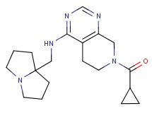 7-(cyclopropylcarbonyl)-N-(tetrahydro-1H-pyrrolizin-7a(5H)-ylmethyl)-5,6,7,8-tetrahydropyrido[3,4-d]pyrimidin-4-amine
