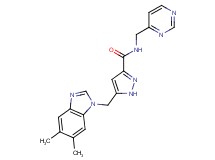 5-[(5,6-dimethyl-1H-benzimidazol-1-yl)methyl]-N-(pyrimidin-4-ylmethyl)-1H-pyrazole-3-carboxamide