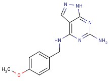N~4~-(4-methoxybenzyl)-1H-pyrazolo[3,4-d]pyrimidine-4,6-diamine
