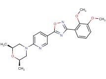(2R*,6S*)-4-{5-[3-(2,3-dimethoxyphenyl)-1,2,4-oxadiazol-5-yl]-2-pyridinyl}-2,6-dimethylmorpholine