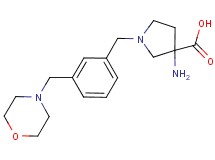 3-amino-1-[3-(morpholin-4-ylmethyl)benzyl]pyrrolidine-3-carboxylic acid