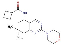 N-[7,7-dimethyl-2-(4-morpholinyl)-5,6,7,8-tetrahydro-5-quinazolinyl]cyclobutanecarboxamide