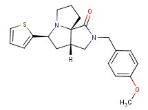 (3aS*,5S*,9aS*)-2-(4-methoxybenzyl)-5-(2-thienyl)hexahydro-7H-pyrrolo[3,4-g]pyrrolizin-1(2H)-one