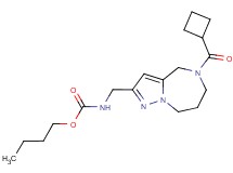 butyl {[5-(cyclobutylcarbonyl)-5,6,7,8-tetrahydro-4H-pyrazolo[1,5-a][1,4]diazepin-2-yl]methyl}carbamate