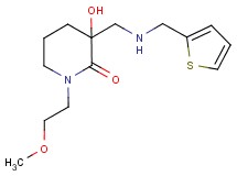 3-hydroxy-1-(2-methoxyethyl)-3-{[(2-thienylmethyl)amino]methyl}piperidin-2-one