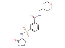 3-{[(2-oxopyrrolidin-3-yl)amino]sulfonyl}-N-(tetrahydro-2H-pyran-4-ylmethyl)benzamide