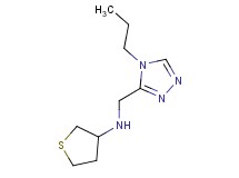 N-[(4-propyl-4H-1,2,4-triazol-3-yl)methyl]tetrahydrothiophen-3-amine