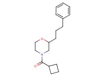 4-(cyclobutylcarbonyl)-2-(3-phenylpropyl)morpholine