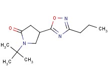 1-tert-butyl-4-(3-propyl-1,2,4-oxadiazol-5-yl)-2-pyrrolidinone