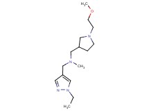 1-(1-ethyl-1H-pyrazol-4-yl)-N-{[1-(2-methoxyethyl)pyrrolidin-3-yl]methyl}-N-methylmethanamine