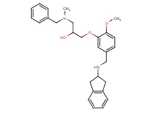 1-[benzyl(methyl)amino]-3-{5-[(2,3-dihydro-1H-inden-2-ylamino)methyl]-2-methoxyphenoxy}-2-propanol