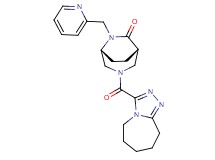 (1S*,5R*)-6-(pyridin-2-ylmethyl)-3-(6,7,8,9-tetrahydro-5H-[1,2,4]triazolo[4,3-a]azepin-3-ylcarbonyl)-3,6-diazabicyclo[3.2.2]nonan-7-one