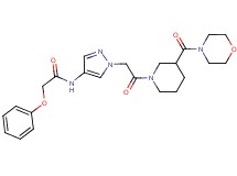 N-(1-{2-[3-(4-morpholinylcarbonyl)-1-piperidinyl]-2-oxoethyl}-1H-pyrazol-4-yl)-2-phenoxyacetamide